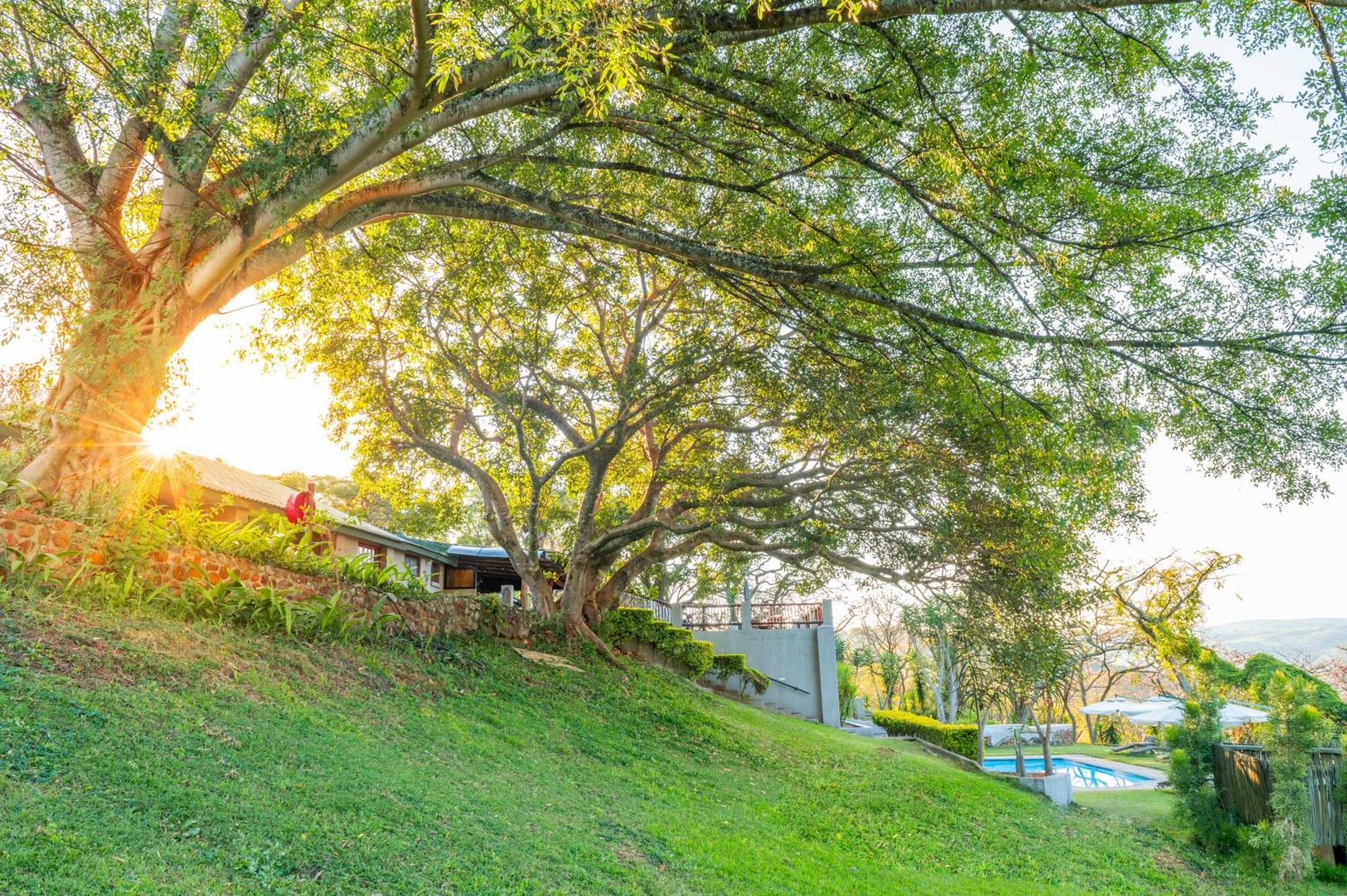 Chestnut Country Lodge Hazyview Luaran gambar