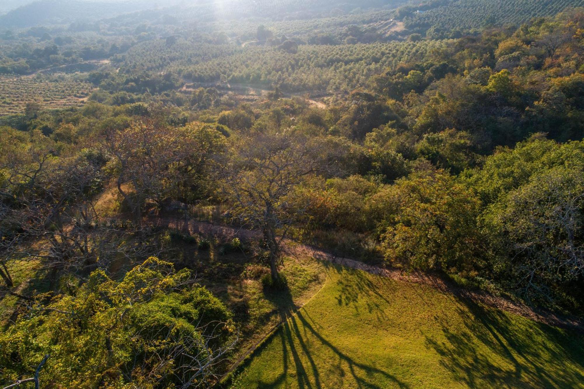Chestnut Country Lodge Hazyview Luaran gambar